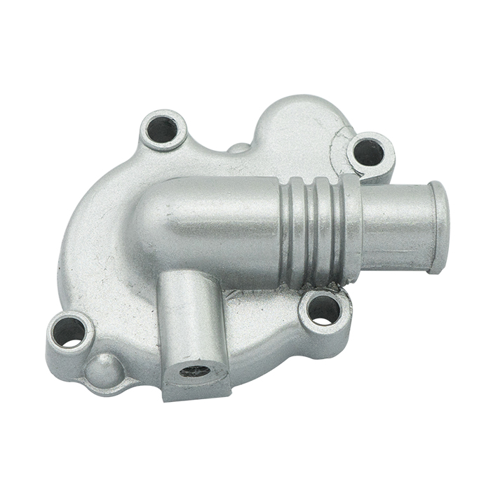 Water Pump Cover (Grade A) SERPICO