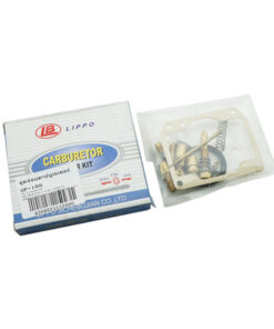 Caburetor Repair Kit DKK GP-100