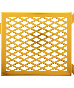 Radiator Grill CLICK, AIR-BLADE